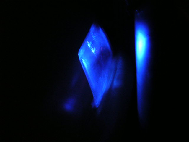 blue sidelights