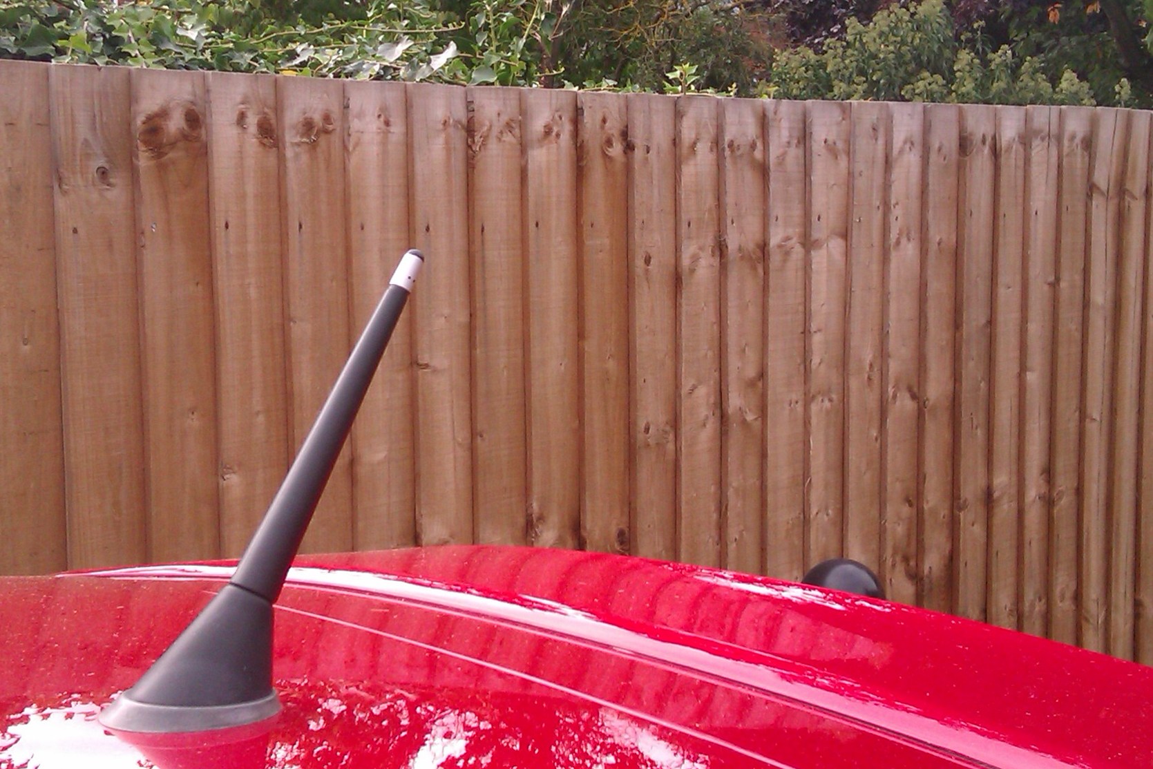 Fiat 500 Shorter Antenna