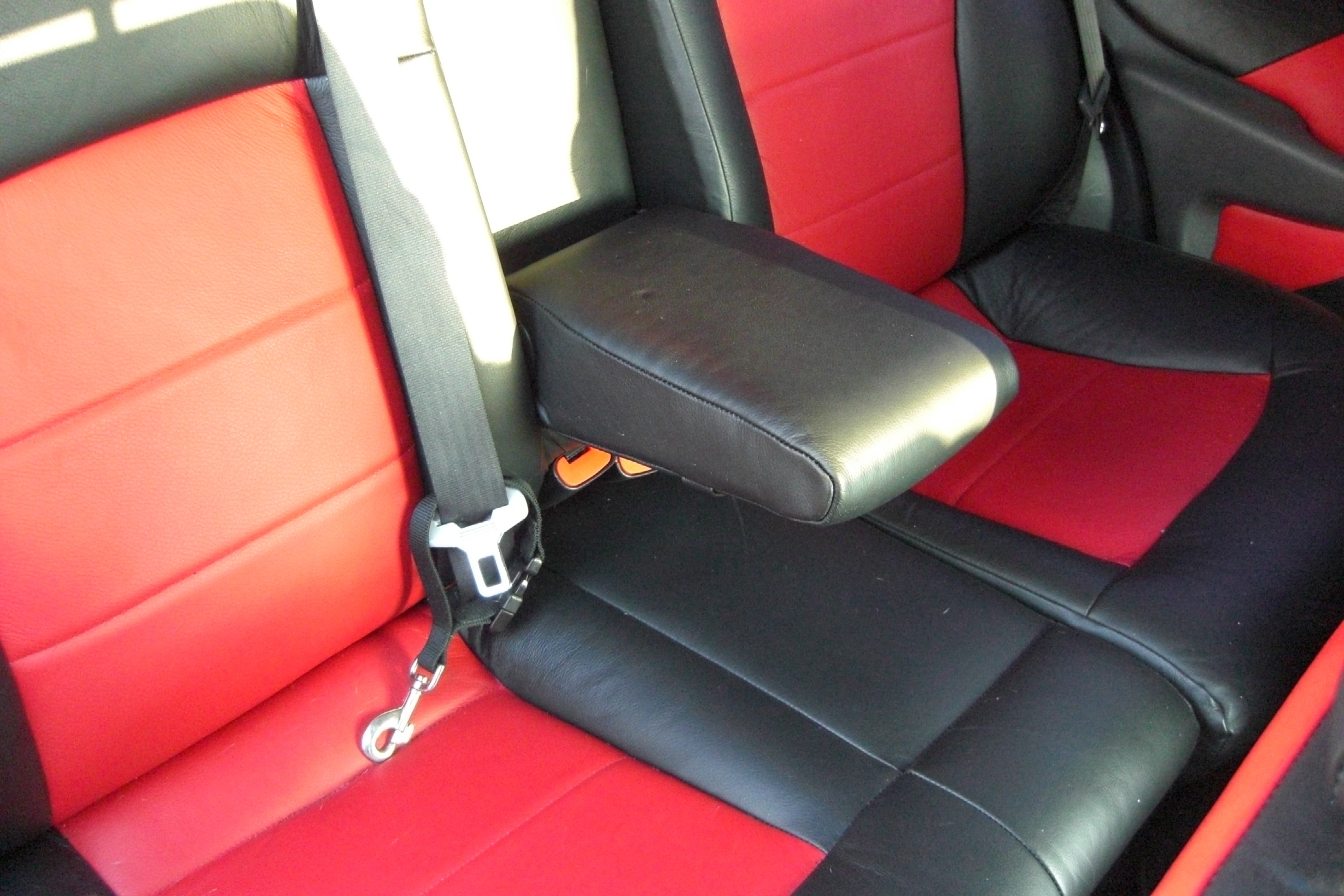 Leather Interior