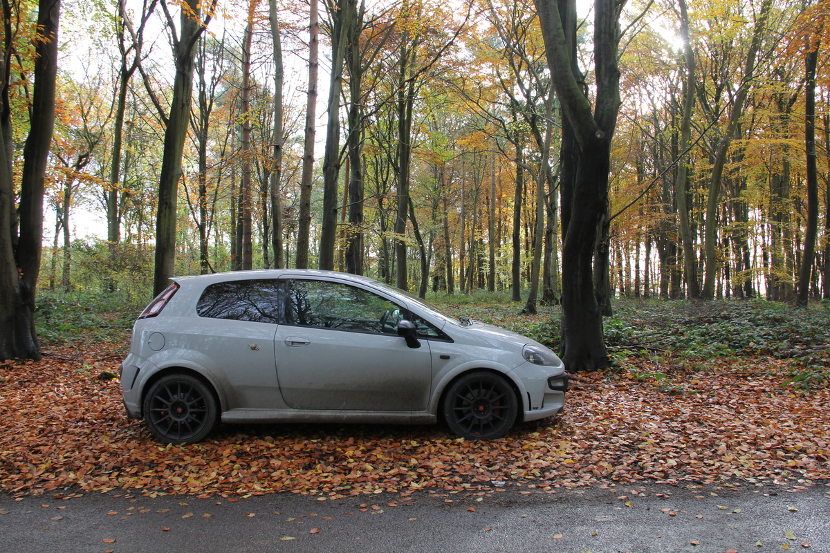 Muddy Abarth