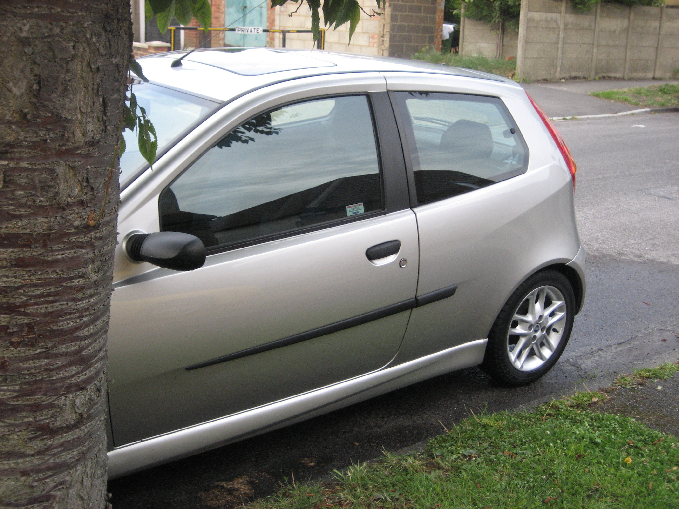 Punto and tree