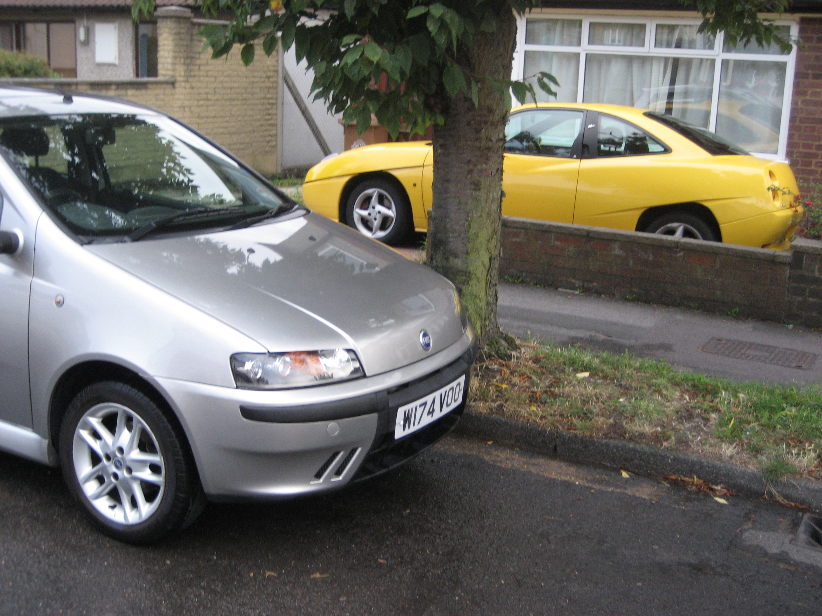 Punto and yellow cousin