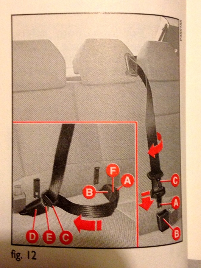 Seatbelt loop I