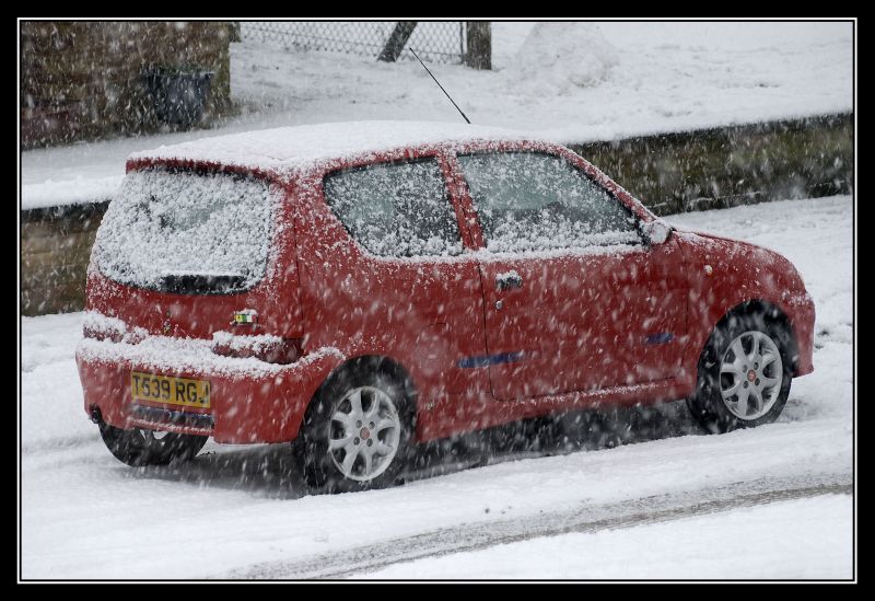 Sei in the snow