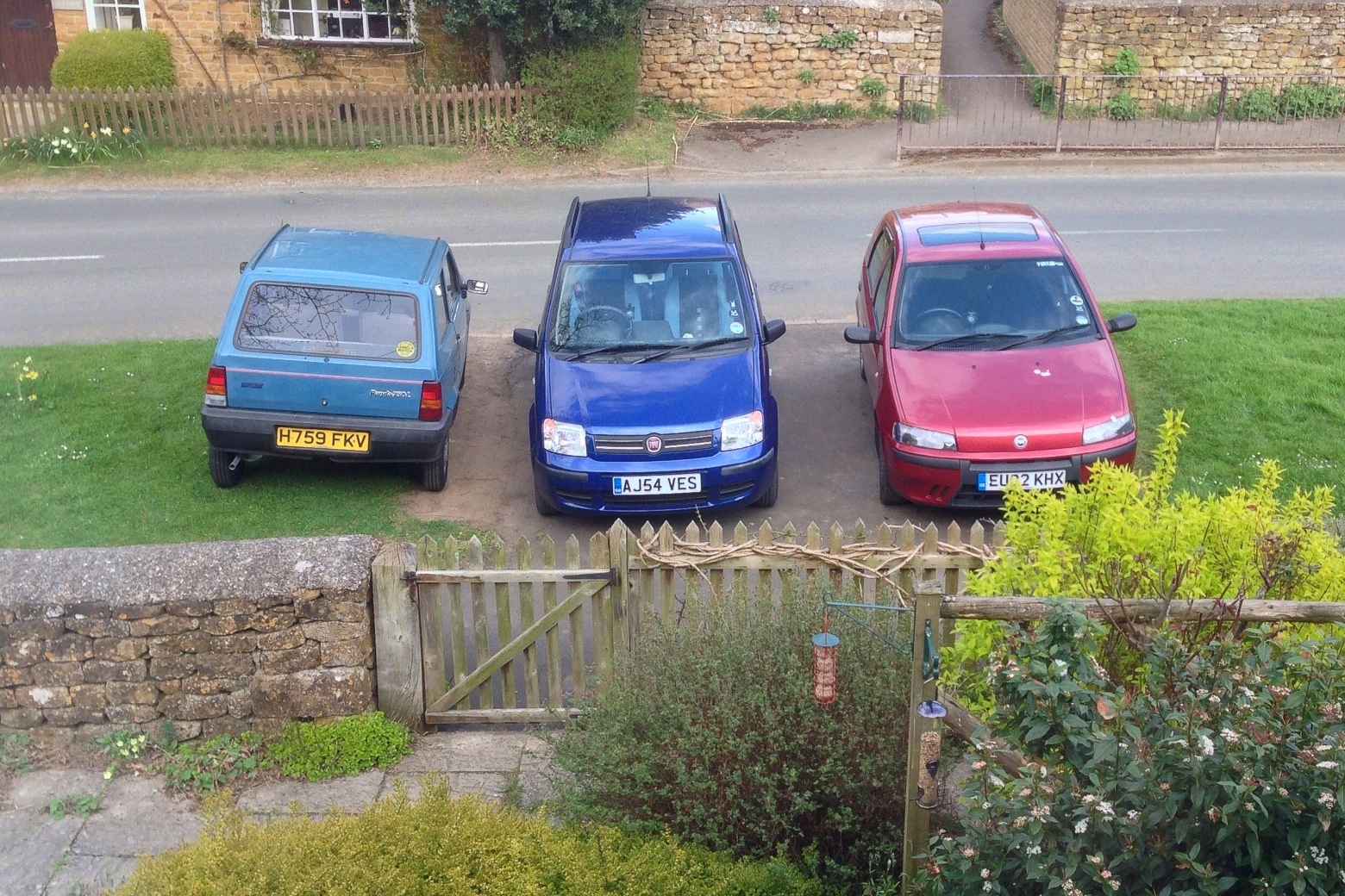 The FIATs are breeding!